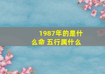 1987年的是什么命 五行属什么